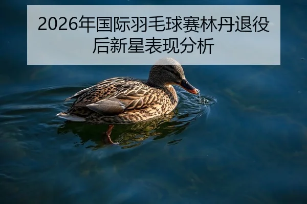 2026年国际羽毛球赛林丹退役后新星表现分析