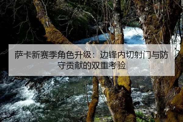 sa-ka-xin-sai-ji-jue-se-sheng-ji-bian-feng-nei-qie-she-men-yu-fang-shou-gong-xian-de-shuang-chong-kao-yan-1-594.jpg