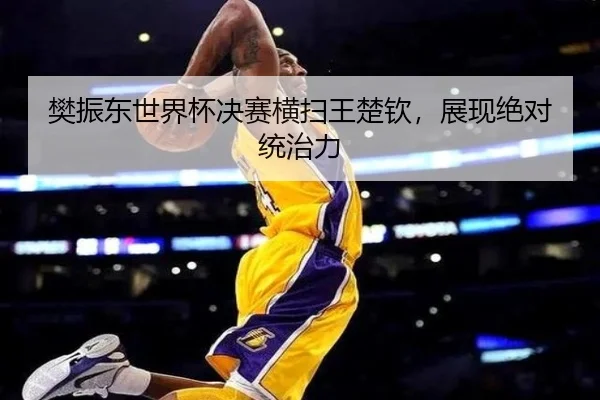 樊振东世界杯决赛横扫王楚钦，展现绝对统治力